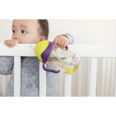 Bbox PPSU Deluxe Sippy Cup - Blush