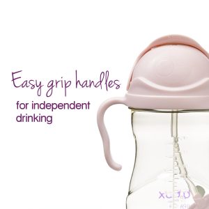 Bbox PPSU Deluxe Sippy Cup - Blush